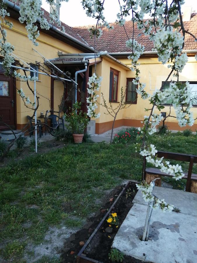 Villa Hársfák Mezokovacshaza Exterior foto