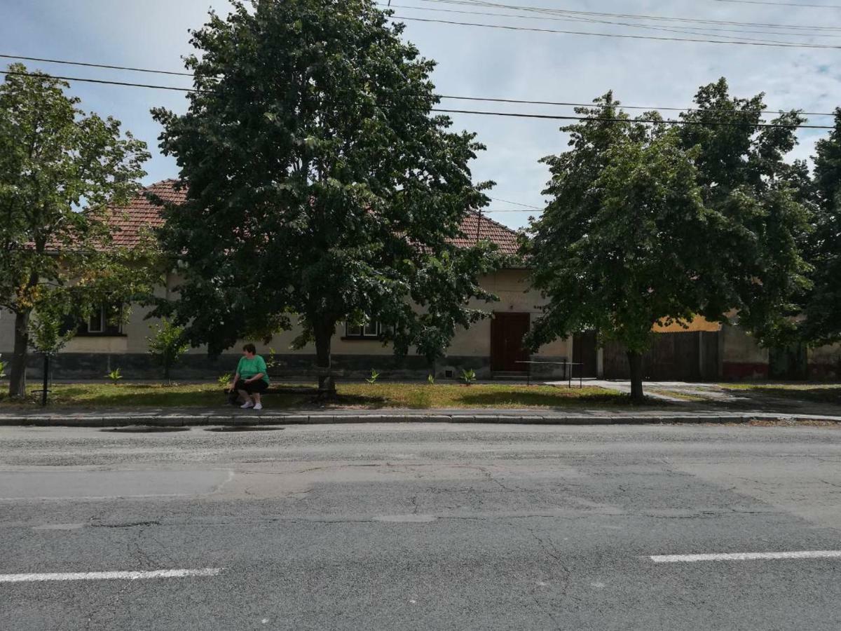 Villa Hársfák Mezokovacshaza Exterior foto
